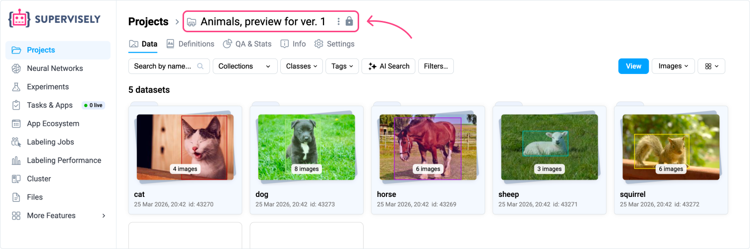 Version Preview Page