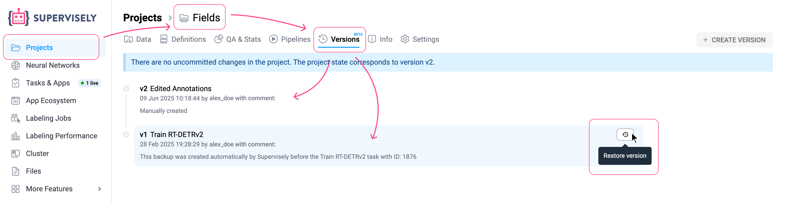 Project versions overview