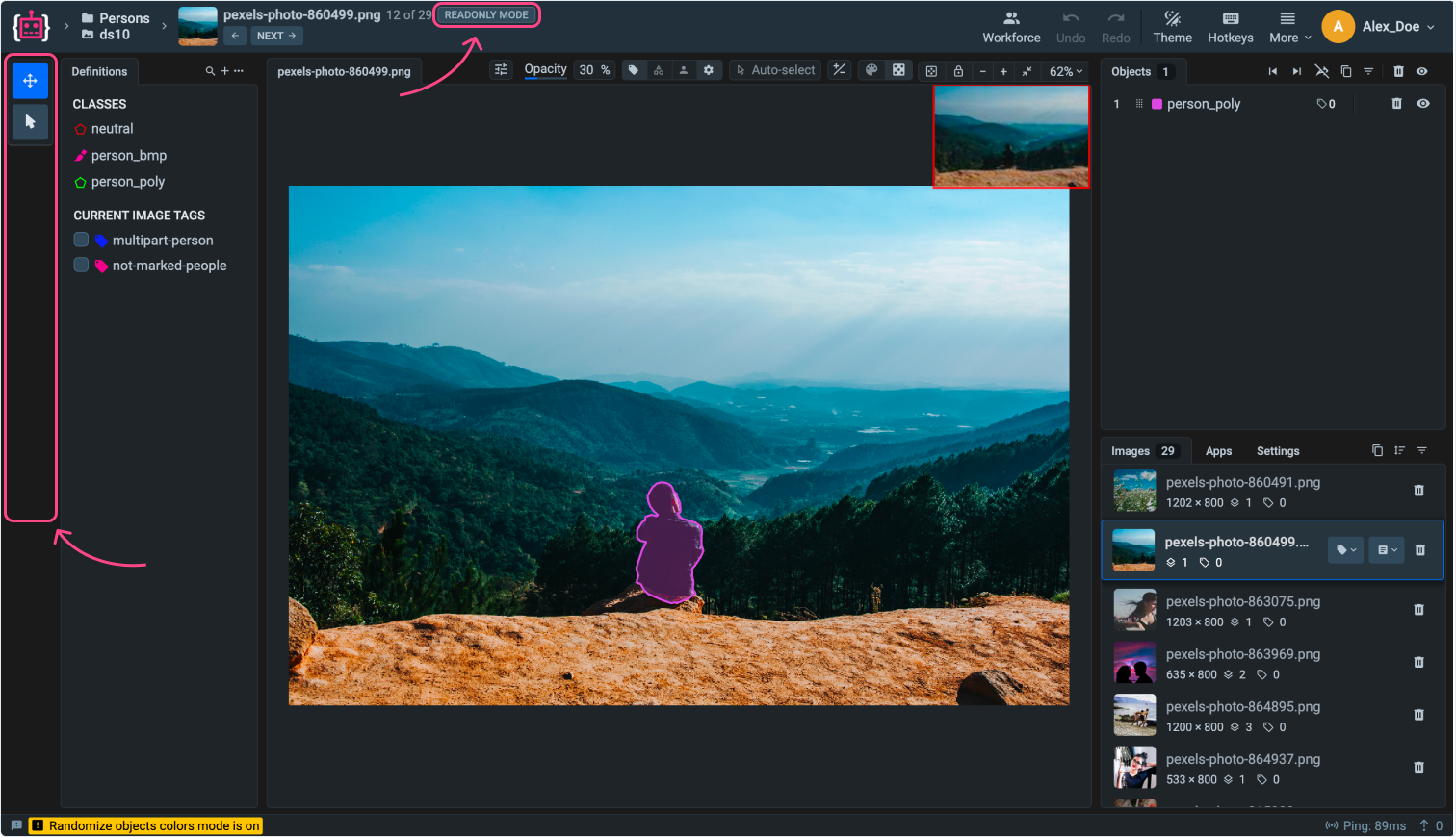 Read-only project labeling tool