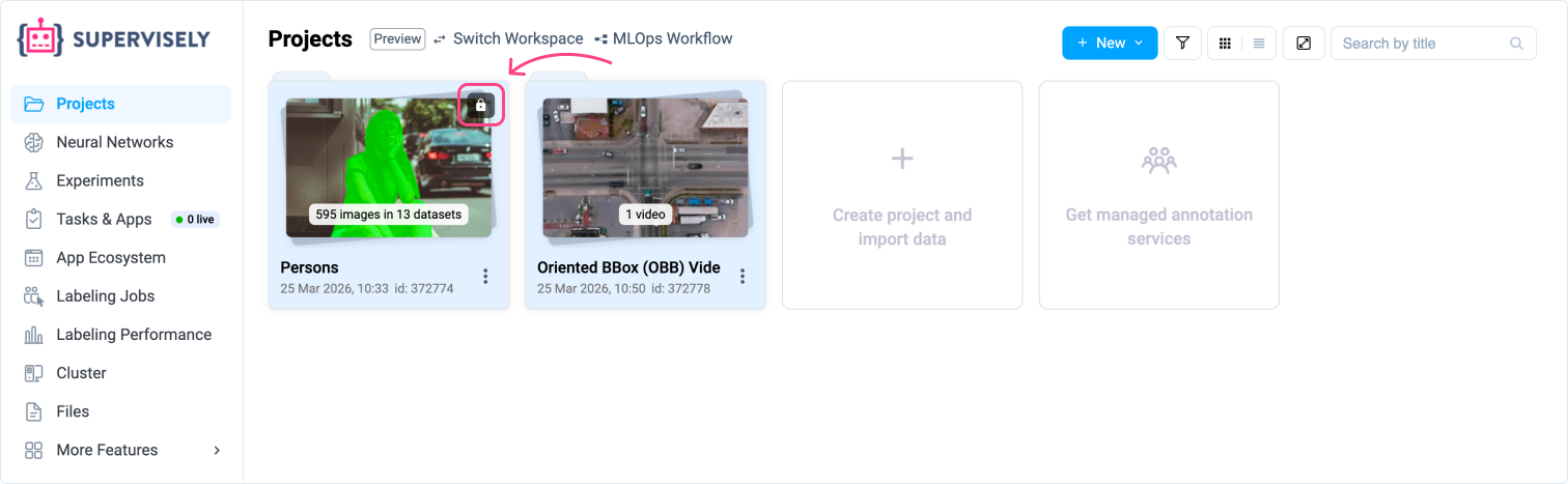 Read-only project list