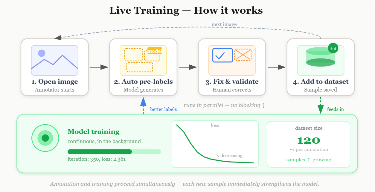 Live Training Diagram