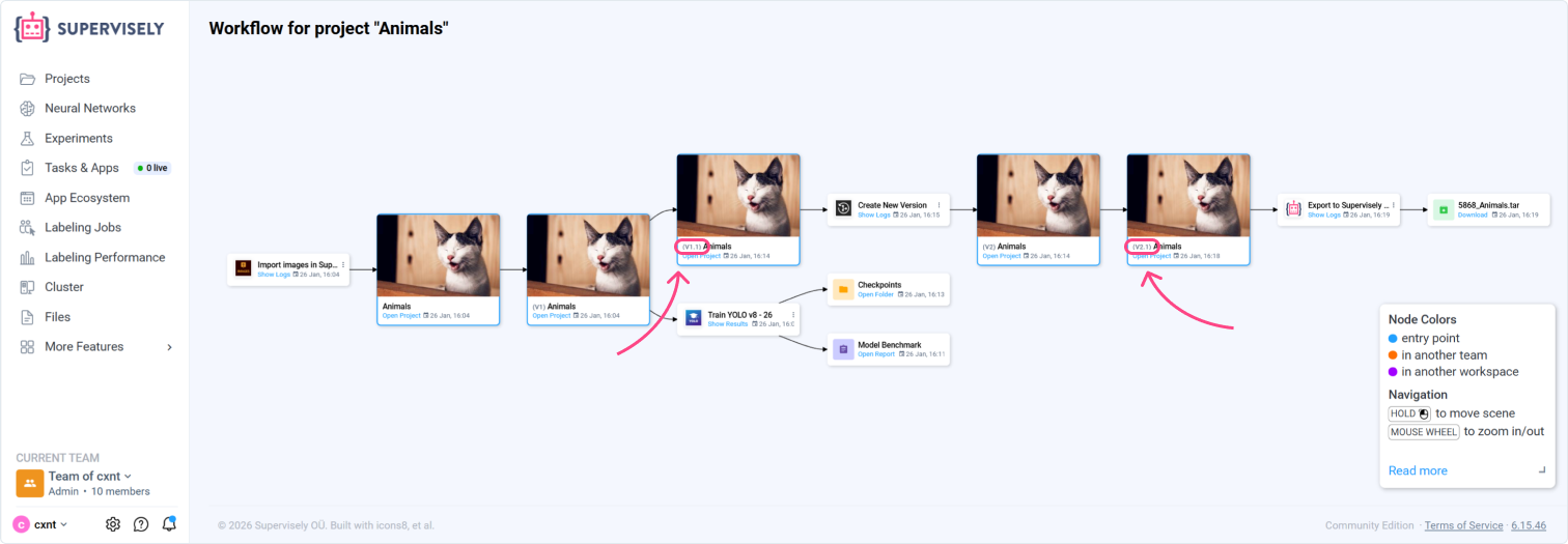 Minor Versions in MLOps Workflow